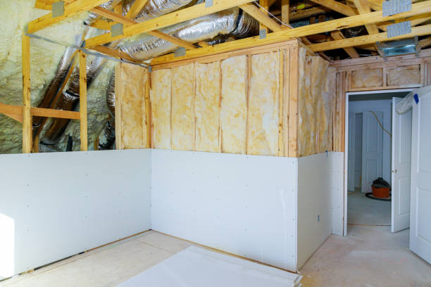 Best Professional Insulation Contractor  in Fort Atkinson, WI