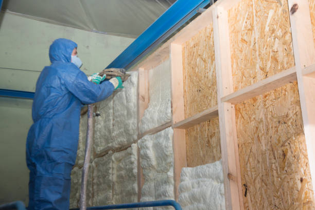 Insulation Repair Services in Fort Atkinson, WI